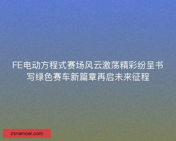 FE电动方程式赛场风云激荡精彩纷呈书写绿色赛车新篇章再启未来征程
